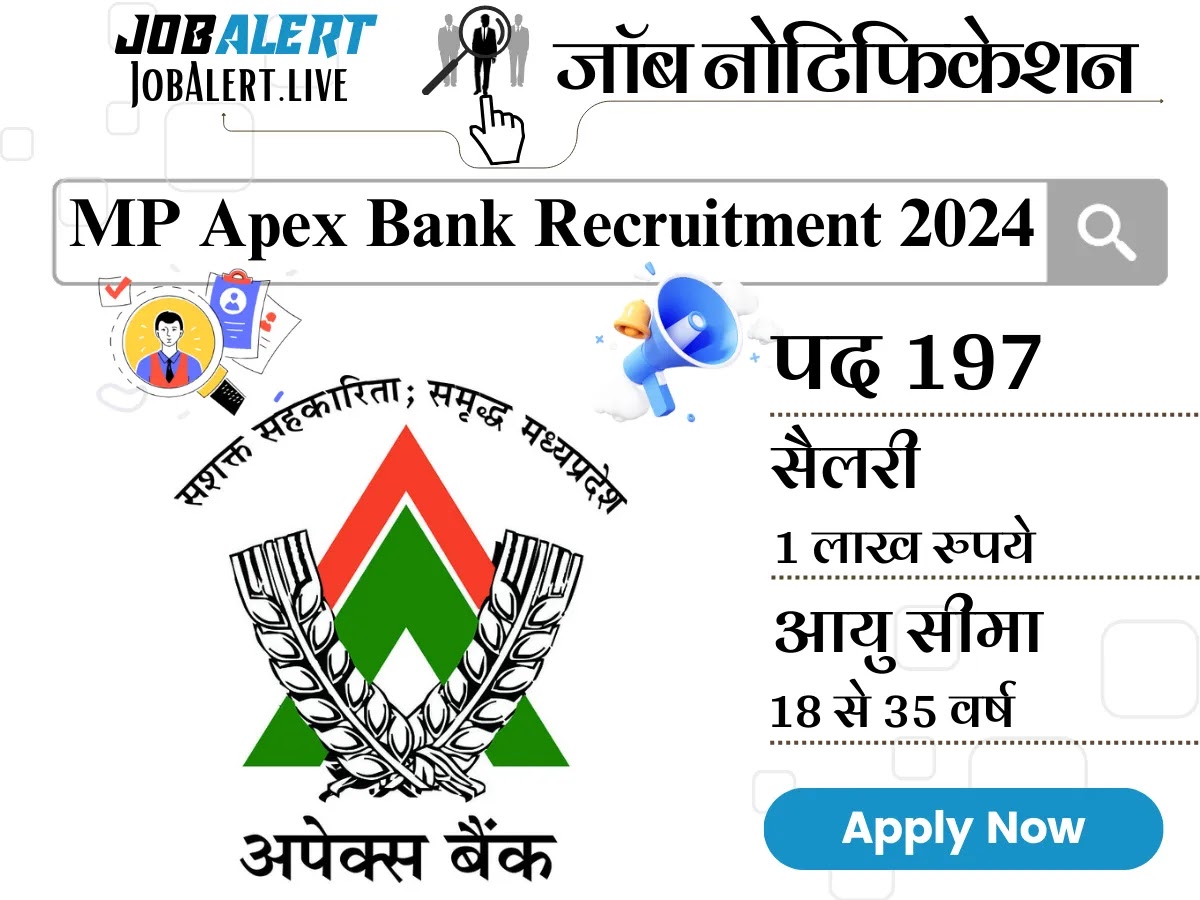 MP Apex Bank Recruitment 2024