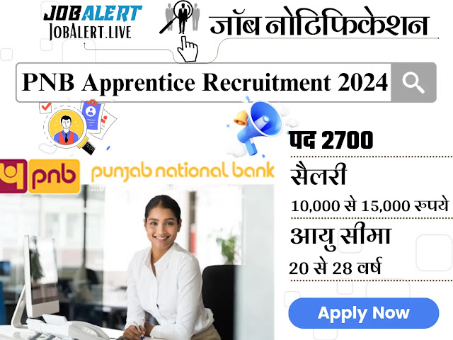 PNB Apprentice Recruitment 2024